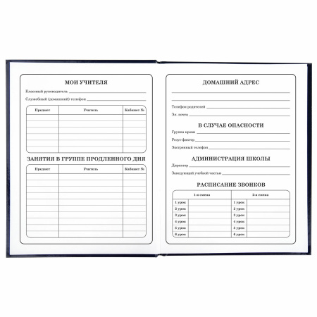 Дневник 1-4 класс 48 л., твердый, ЮНЛАНДИЯ, глянцевая ламинация, с подсказом, "Котики", 106352 - Дневники для младших классов