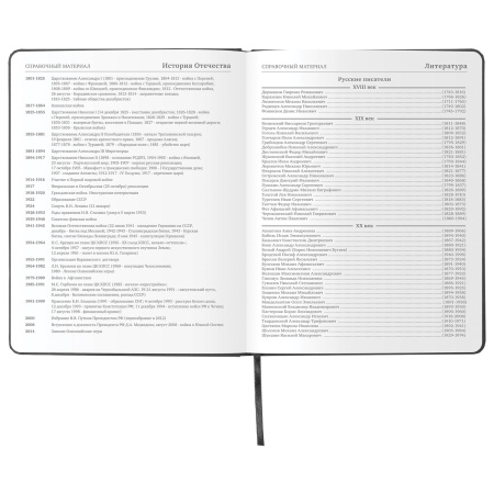 Дневник 1-11 класс 48л, кожзам (твердая), шелкография, BRAUBERG, "ЛЕВ ПОП-АРТ", 105991 - Дневники универсальные