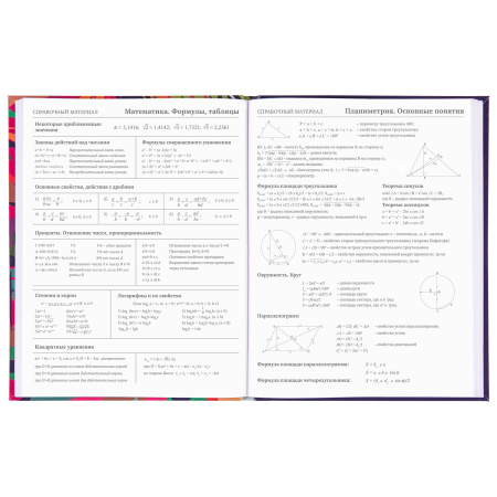 Дневник 5-11 класс 48 л., гибкая обложка, BRAUBERG, глянцевая ламинация, с подсказом, "Lion", 106386 - Дневники для старших классов