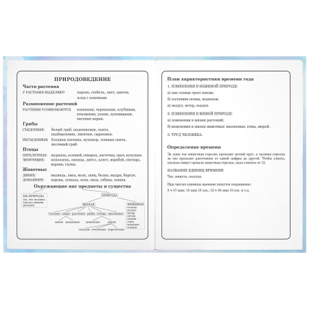 Дневник 1-4 класс 48 л., твердый, ЮНЛАНДИЯ, блестки, с подсказом, "Фея", 106608 - Дневники для младших классов