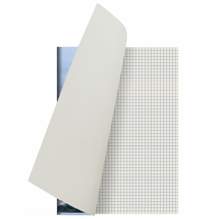 Тетрадь А4, 80 л., STAFF "Basic", скоба, клетка, офсет №2 ЭКОНОМ, обложка картон, "Ocean", 404044 - Тетради формата А4