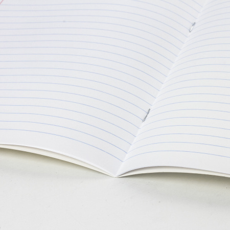 Тетради 24 л. КОМПЛЕКТ 20 шт. BRAUBERG "EXTRA", линия, плотная бумага 80 г/м2, обложка картон, 880073 - Тетради 12-24 листов