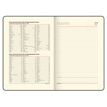 Ежедневник недатированный БОЛЬШОЙ ФОРМАТ 210х297 мм А4, BRAUBERG "Status", 160л, черный, 113360 - Ежедневники с покрытием "под кожу и ткань"