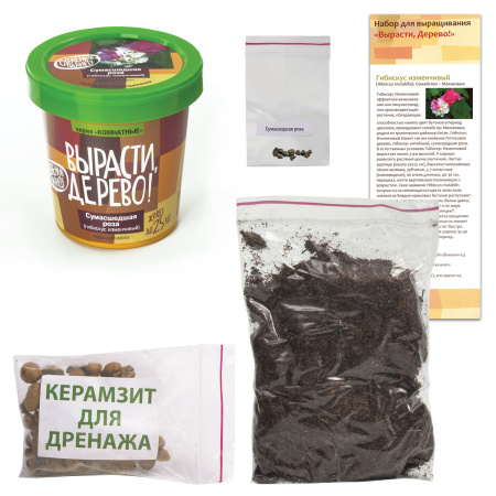 Набор для выращивания растений ВЫРАСТИ ДЕРЕВО! "Сумасшедшая роза" (банка, грунт, семена), zk-047 - Наборы для выращивания растений