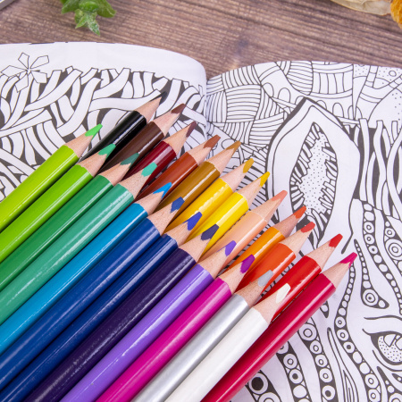 Карандаши цветные BRAUBERG PREMIUM, 24 цвета, трехгранные, грифель мягкий 3,3 мм, 181653 - Карандаши цветные