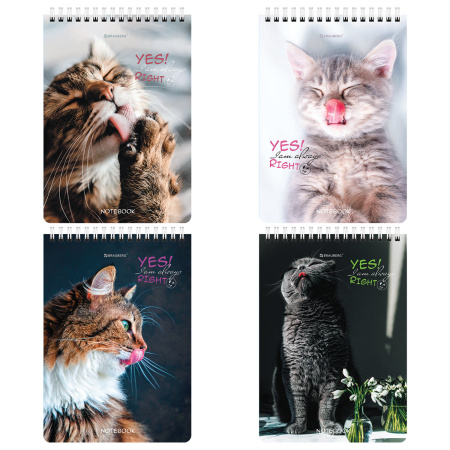 Блокнот А5 (146х206 мм), 80 л., гребень, картон, клетка, BRAUBERG, "Довольные коты", 114374 - Блокноты