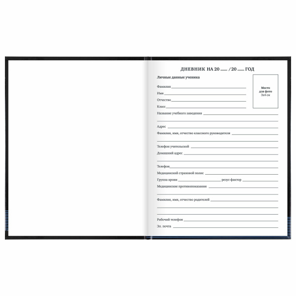 Дневник 1-11 класс 40 л., твердый, BRAUBERG, глянцевая ламинация, "Internet", 106619 - Дневники универсальные