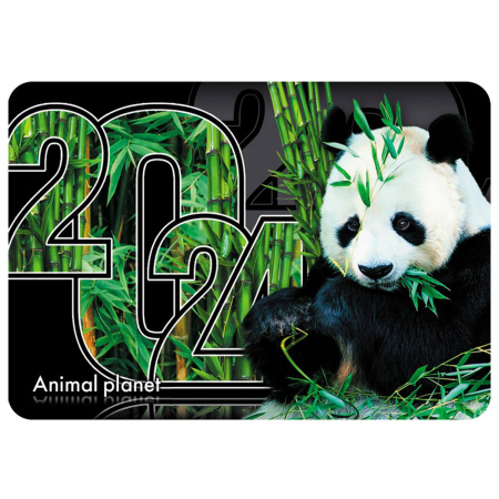 Календарь карманный на 2024 г., 70х100 мм, "Ассортимент 81 дизайн", HATBER, Кк7 - Календари карманные