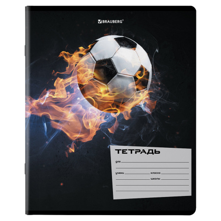 Тетради 12 л. КОМПЛЕКТ 10 шт. BRAUBERG, клетка, обложка картон, ФУТБОЛ, 106666 - Тетради 12-24 листов