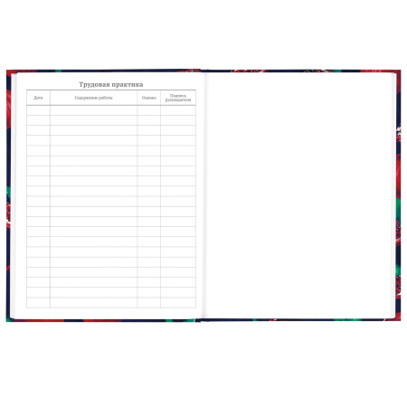 Дневник 5-11 класс 48 л., твердый, BRAUBERG, глянцевая ламинация, с подсказом, "Гранаты", 106621 - Дневники для старших классов