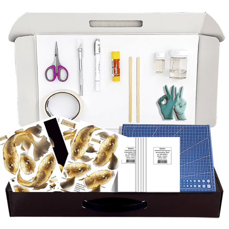 Набор папертоль “Золотая рыбка” - Папертоль