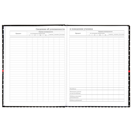 Дневник 5-11 класс 48 л., твердый, BRAUBERG, глянцевая ламинация, с подсказом, "Стиль", 106392 - Дневники для старших классов