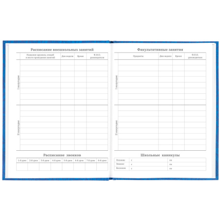 Дневник 5-11 класс 48 л., твердый, BRAUBERG, фольга, с подсказом, "Football", 106416 - Дневники для старших классов