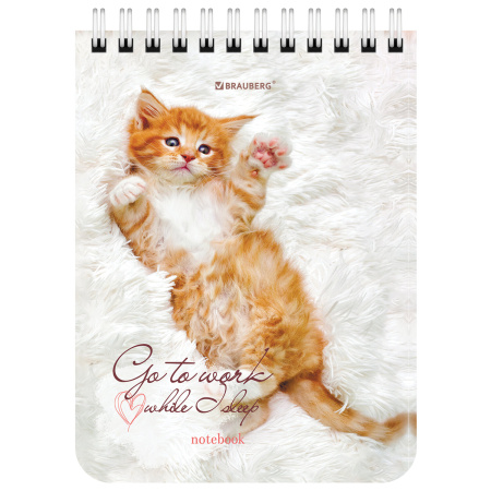 Блокнот МАЛЫЙ ФОРМАТ А6 108х145 мм, 40 л., гребень, картон, клетка, BRAUBERG, "Милые котята", 114391 - Блокноты