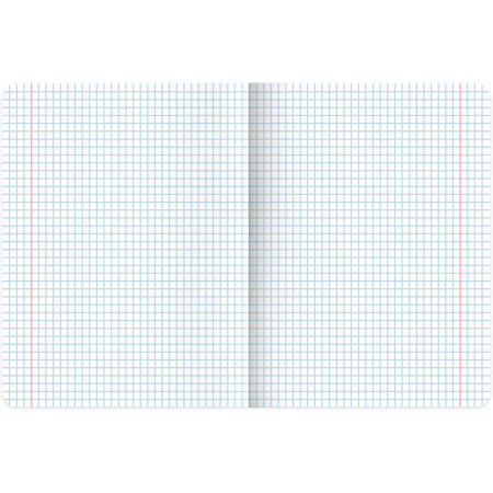 Тетрадь предметная "PASTEL" 48 л., SoftTouch, фольга, ИНФОРМАТИКА, клетка, BRAUBERG, 404315 - Тетради предметные