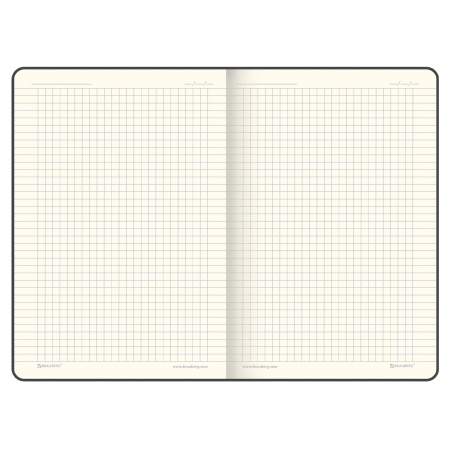 Блокнот А5 (148x218 мм), BRAUBERG "Metropolis X", под кожу, 80 л., резинка, клетка, бирюзовый, 111035 - Бизнес-блокноты и бизнес-тетради