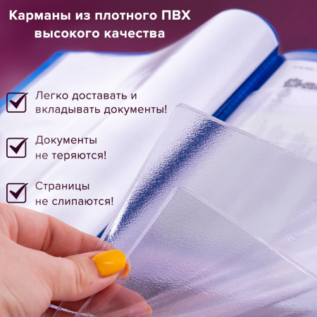 Папка для семейных документов с файлами (паспорта, свидетельства, полисы, СНИЛС) STAFF, 16 отделений, ПВХ, синяя, 237806 - Обложки для документов