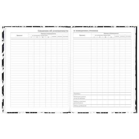 Дневник МП 1-11 класс 48 л., твердый, BRAUBERG, глянцевая ламинация, с подсказом, "Аниме", 106646 - Дневники универсальные