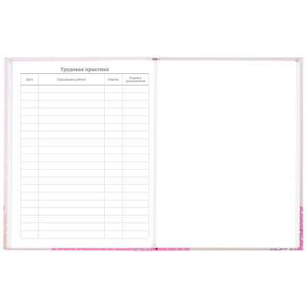 Дневник 5-11 класс 48 л., твердый, BRAUBERG, глянцевая ламинация, с подсказом, "Летний", 106631 - Дневники для старших классов