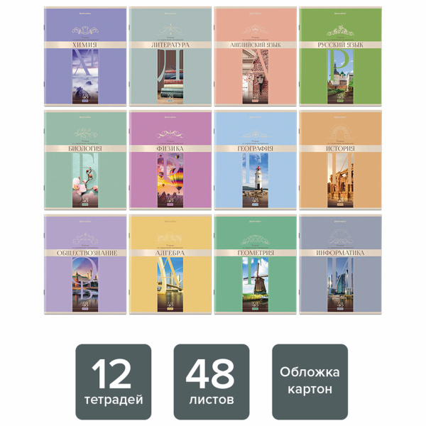 Тетради предметные, КОМПЛЕКТ 12 ПРЕДМЕТОВ, "DELIGHT", 48 л., обложка картон, BRAUBERG, 404606 - Тетради предметные