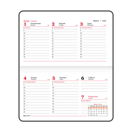 Еженедельник датированный 2024 МАЛЫЙ ФОРМАТ А6 95х155 мм, BRAUBERG "Rainbow", под кожу, сиреневый, 115046 - Еженедельники