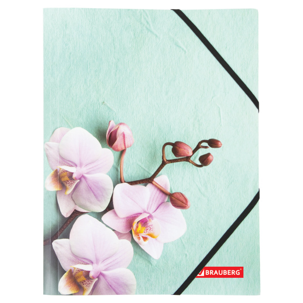 Папка на резинках BRAUBERG "FLOWER", А4, цветная печать, до 300 листов, 500 мкм, 228032 - Папки на резинках пластиковые