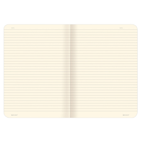 Тетрадь 60 л. в линию обложка SoftTouch, бежевая бумага 70 г/м2, сшивка, В5 (179х250 мм), ГРАНАТ, BRAUBERG, 403824 - Тетради более 60 листов