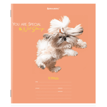 Тетрадь 18 л. BRAUBERG линия, обложка картон, "СОБАЧКИ", 106481 - Тетради 12-24 листов