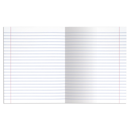 Тетрадь 18 л. BRAUBERG "ЭКО", линия, обложка плотная мелованная бумага, ЗЕЛЕНАЯ ПАСТЕЛЬНАЯ, 105677 - Тетради 12-24 листов