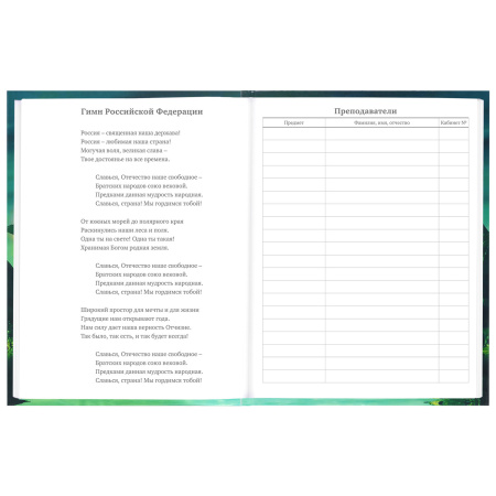 Дневник 5-11 класс 48 л., твердый, BRAUBERG, глянцевая ламинация, с подсказом, "Мир Будущего", 106627 - Дневники для старших классов