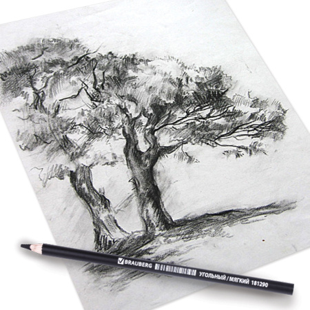 Карандаш (1 штука) угольный BRAUBERG ART CLASSIC, МЯГКИЙ, круглый, корпус черный, заточенный, 181290 - Мел, графит, сепия, сангина, соус, уголь художественные