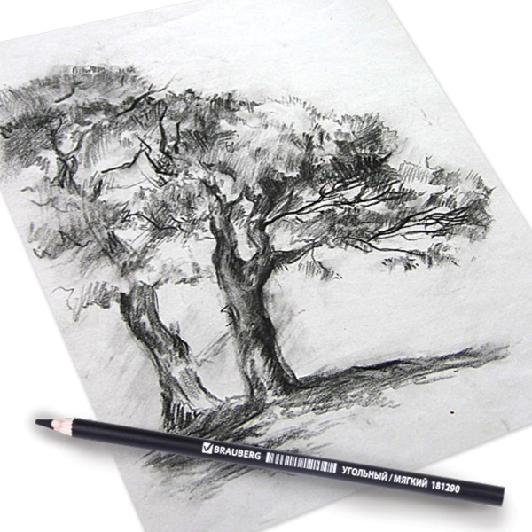 Карандаш (1 штука) угольный BRAUBERG ART CLASSIC, МЯГКИЙ, круглый, корпус черный, заточенный, 181290 - Мел, графит, сепия, сангина, соус, уголь художественные