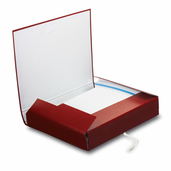 Папка для бумаг архивная А4 (225х310 мм), 85 мм, 2 завязки, бумвинил, до 700 листов, 120298 - Папки картонные с завязками