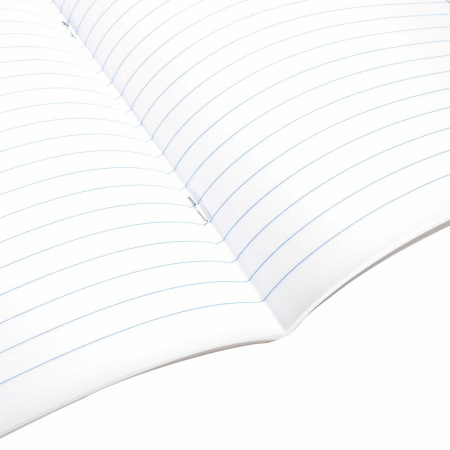 Тетрадь предметная "КОТ-ЭНТУЗИАСТ" 48 л., TWIN-лак, ЛИТЕРАТУРА, линия, подсказ, BRAUBERG, 404564 - Тетради предметные