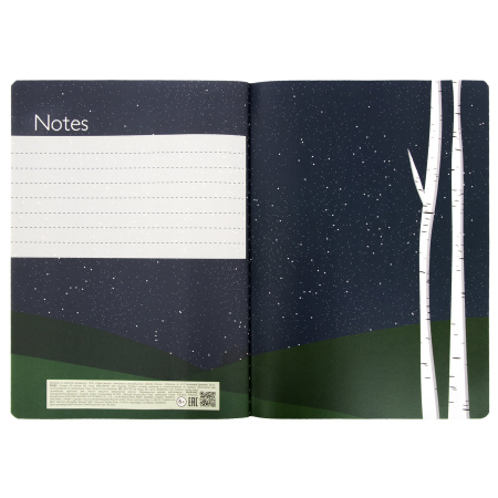 Тетради 60 л. в точку обложка SoftTouch, НАБОР 2 шт., бежевая бумага 70 г/м2, сшивка, B5 (179х250 мм), НОЧЬ, BRAUBERG, 403829 - Тетради более 60 листов