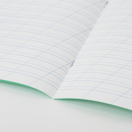 Тетради 12 л. КОМПЛЕКТ 20 шт. BRAUBERG "ВЕЛИКИЕ ИМЕНА ЕСЕНИН С.А.", косая линия, бумага 80 г/м2, 880018 - Тетради 12-24 листов