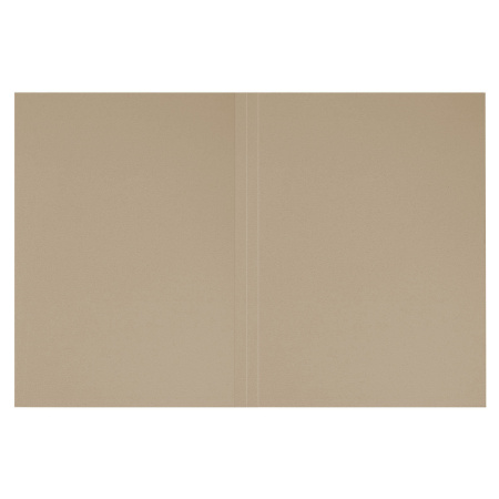 Папка без скоросшивателя "Дело", картон мелованный, плотность 440 г/м2, до 200 листов, BRAUBERG, 110928 - Папки "Дело" без скоросшивателя