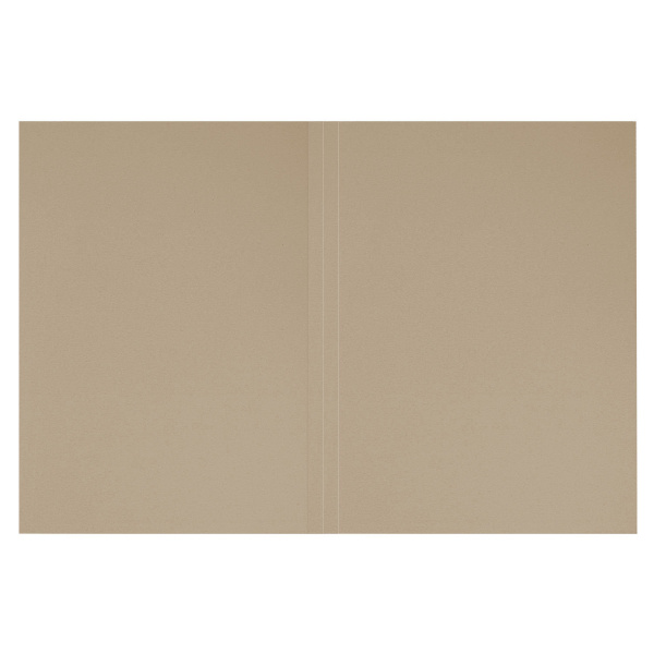 Папка без скоросшивателя "Дело", картон мелованный, плотность 440 г/м2, до 200 листов, BRAUBERG, 110928 - Папки "Дело" без скоросшивателя