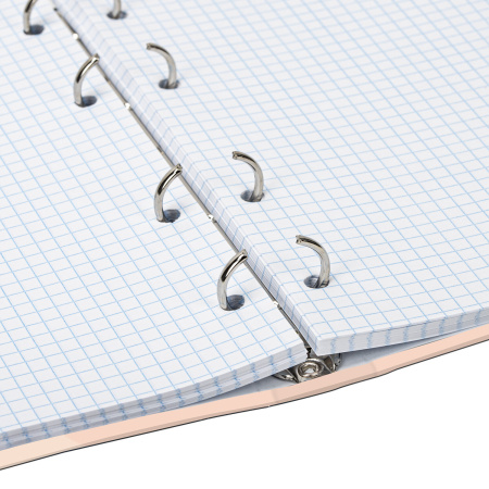 Тетрадь на кольцах А5 (165х215 мм), 120 листов, твердый картон, клетка, BRAUBERG, Девушка, 404076 - Тетради на кольцах и сменные блоки к ним