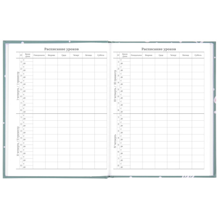 Дневник 5-11 класс 48 л., твердый, BRAUBERG, блестки, с подсказом, "Кактусы", 106420 - Дневники для старших классов