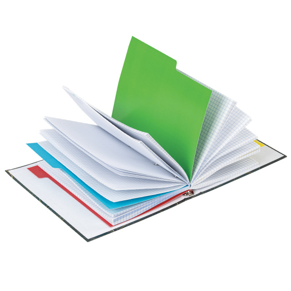 Тетрадь на кольцах А5 (175х215 мм), 240 листов, твердый картон, клетка, с разделителями, BRAUBERG, Листья, 404099 - Тетради на кольцах и сменные блоки к ним