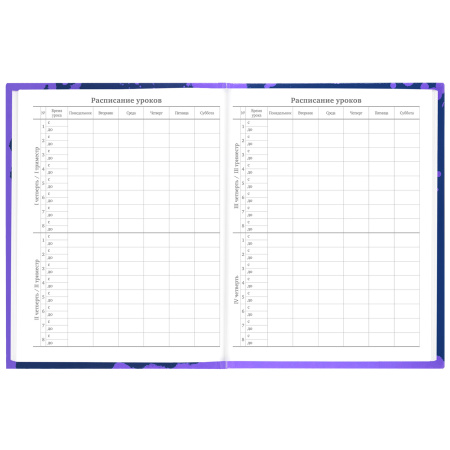 Дневник 5-11 класс 48 л., твердый, BRAUBERG, глянцевая ламинация, с подсказом, "Приставка", 106629 - Дневники для старших классов
