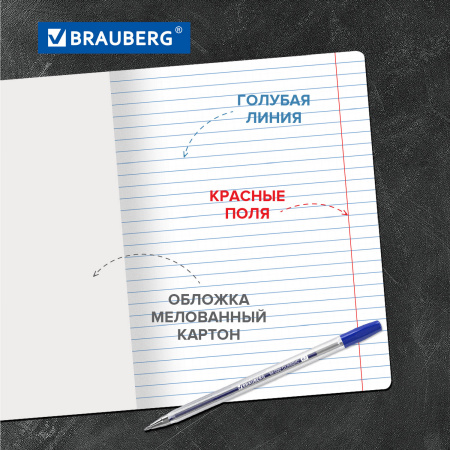 Тетради 12 л. КОМПЛЕКТ 20 шт. BRAUBERG "КЛАССИКА NEW", линия, обложка картон, АССОРТИ (5 видов), 880052 - Тетради 12-24 листов