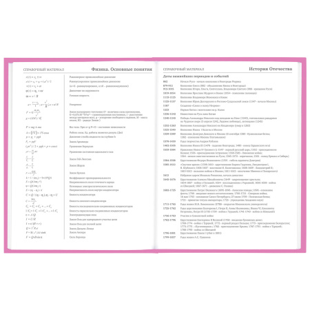 Дневник 1-11 класс 48 л., твердый, BRAUBERG, глянцевая ламинация, с подсказом, "Ice cream party", 106602 - Дневники для младших классов