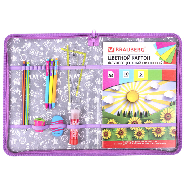 Папка для труда на молнии BRAUBERG А4 с ручкой, 1 отделение, органайзер, "Cheerful", 271448 - Папки для тетрадей и уроков труда