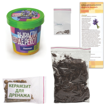 Набор для выращивания растений ВЫРАСТИ ДЕРЕВО! "Лаванда" (банка, грунт, семена), zk-030 - Наборы для выращивания растений