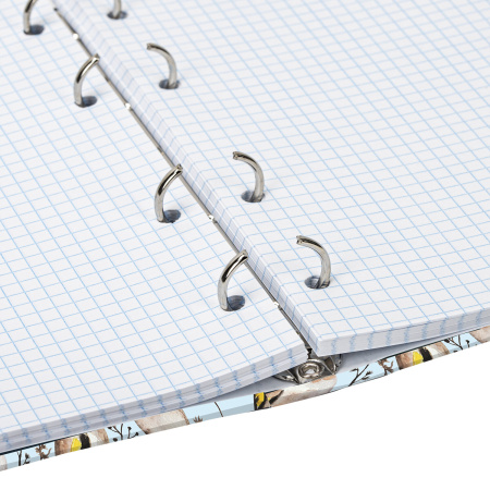 Тетрадь на кольцах А5 (165х215 мм), 120 листов, твердый картон, клетка, BRAUBERG, Щеглы, 404079 - Тетради на кольцах и сменные блоки к ним