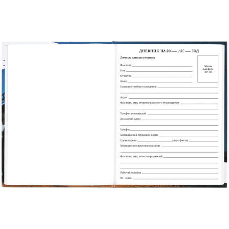 Дневник 1-11 класс 40 л., твердый, BRAUBERG, глянцевая ламинация, "Джип", 106616 - Дневники универсальные