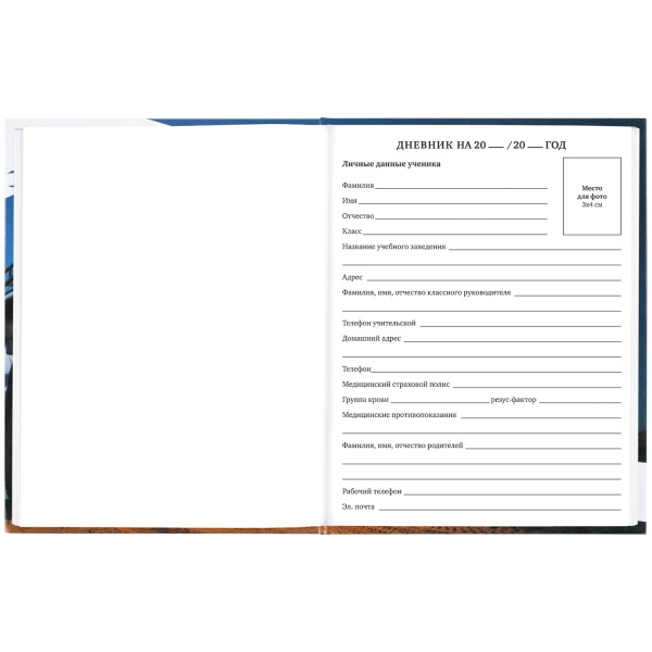 Дневник 1-11 класс 40 л., твердый, BRAUBERG, глянцевая ламинация, "Джип", 106616 - Дневники универсальные