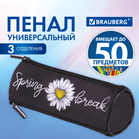 Пенал BRAUBERG, 3 отделения, нейлон, 21х7х7 см, "Spring", 270840 - Пеналы мягкие